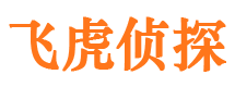 福海外遇调查取证